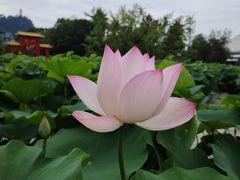 -南山植物园