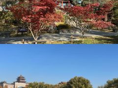 -莲花池公园