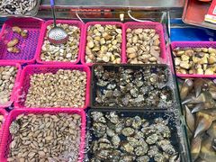 -板桥海鲜广场(文明东店)