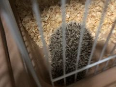 -藦茜花园宠物主题亲子互动体验馆(国顺东路店)