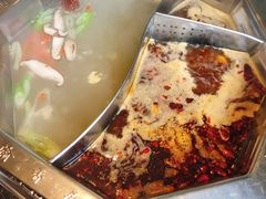 太极鸳鸯锅-蜀香居鲜毛肚火锅