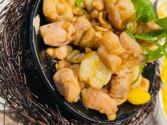 -丁老爷子苏香圆