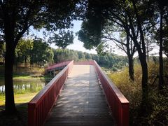 -美兰湖景区