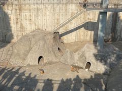 -无锡动物园·太湖欢乐园
