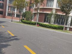 -上海市曹杨第二中学