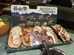 -芸山季·云南山珍菌火锅(南翔印象城MEGA店)