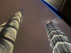 -The lounge 柏悦酒店大堂酒廊(上海环球金融中心店)