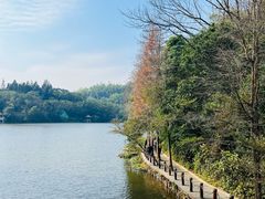 -深圳仙湖植物园