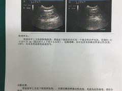 -派美特宠物医院·核磁CT·骨科肿瘤·疑难转诊(沈农禾丰店)