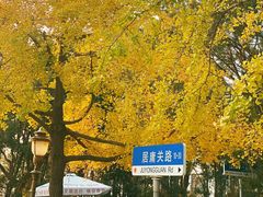 -八大关景区