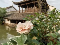 -雅达·阳羡溪山小镇中心