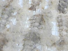 -官塘鱻鱻鱼生