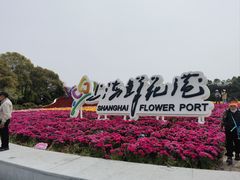 -上海鲜花港