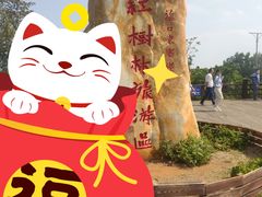 -东寨港红树林旅游区