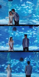 -鱼映像摄影·珍藏级影像品牌