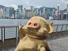 -星光大道
