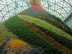 -花之城