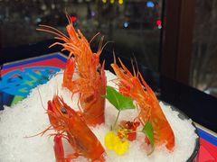 -上海滩餐厅(BFC外滩金融中心店)