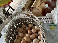 -马陆小张葡萄园农家乐