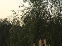 -池州市平天湖风景区