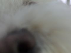 -美迦爱-牙专科·兔科·骨科诊疗中心(北苑店)