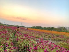 -映月湖中央公园