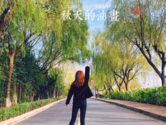 -太阳岛度假酒店