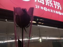 门面-海底捞火锅(奥体南路店)