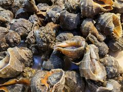 -天津金元宝滨海农产品交易市场(共发大道)