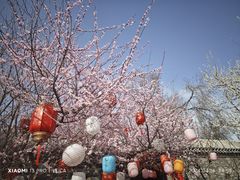 -三里河公园