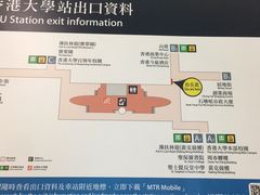-香港大学