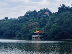 -深圳仙湖植物园