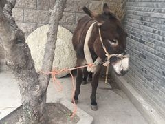 -韩家民俗村