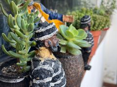-素心小筑(后沙裕镇店)