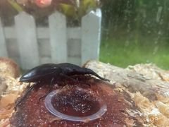 -上海昆虫博物馆