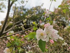 -昆山城市生态森林公园