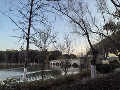 -昆山城市生态森林公园