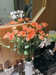 体验后-苑苑vbeauty科技美容SPA