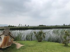 -烟墩角天鹅湖