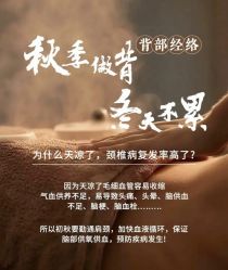 -YESIDO椰岛美容