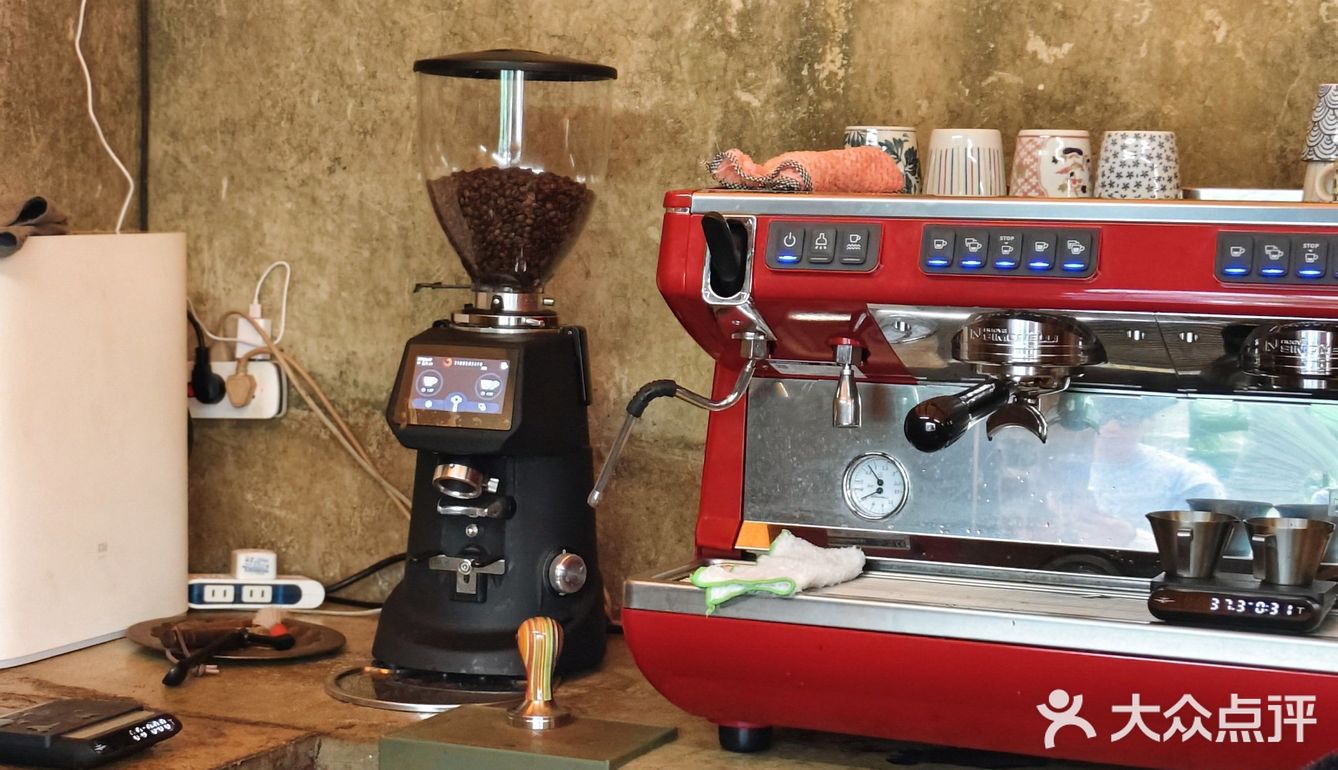 森林中的休闲时光