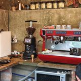 森林中的休闲时光