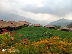 -优游吧斯邹族文化部落