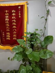 -Dr.林醫生产后修复·配方产康(南京江宁万达店)