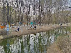 -长白岛森林公园