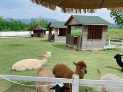 -光明农场大观园