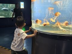 -重庆欢乐海底世界