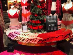 -Victoria's Secret(杭州湖滨银泰in77店)