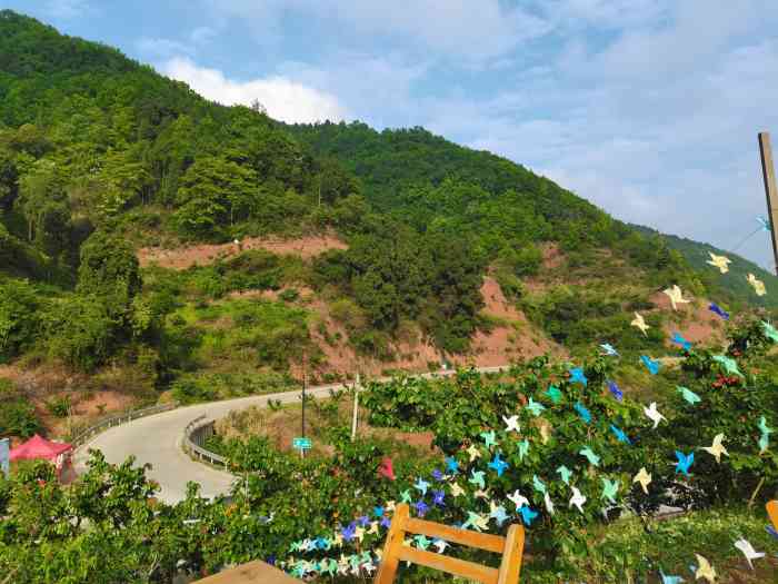 环境 地处龙泉山后山,相比前山多些了清净.