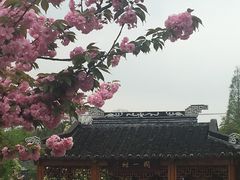 -渭塘酒家(生态园店)